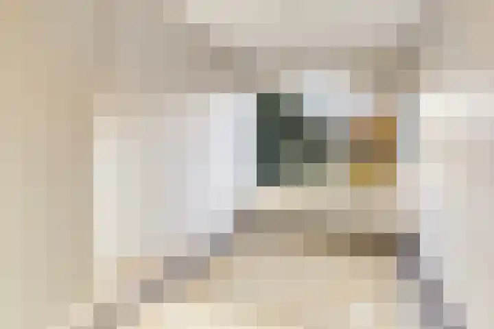 Nettelhorst 19 Ede thumbnail 13