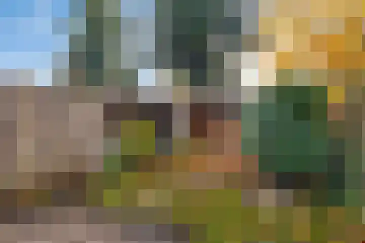 Nettelhorst 19 Ede thumbnail 29