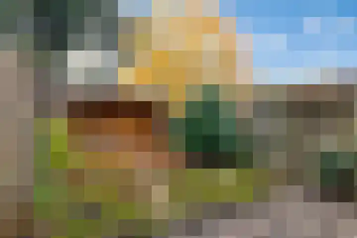 Nettelhorst 19 Ede thumbnail 30