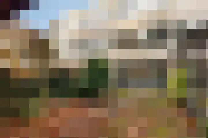 Nettelhorst 19 Ede thumbnail 31