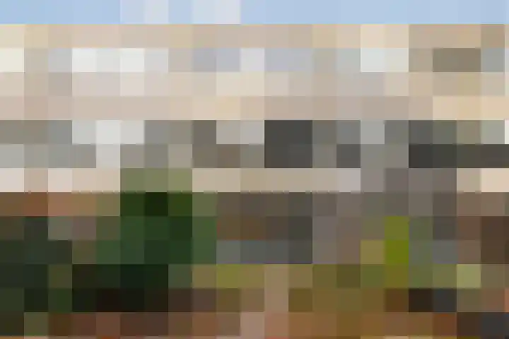 Nettelhorst 19 Ede thumbnail 32