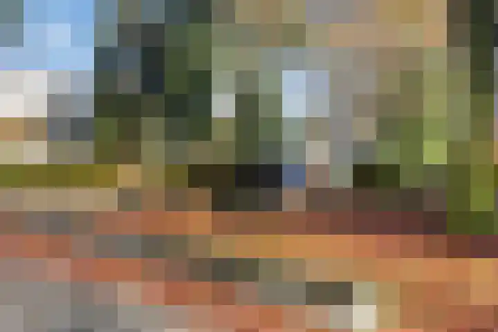 Nettelhorst 19 Ede thumbnail 37