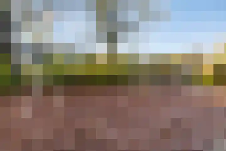 Nettelhorst 19 Ede thumbnail 38