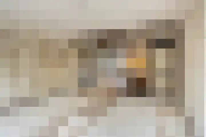 Nettelhorst 19 Ede thumbnail 6