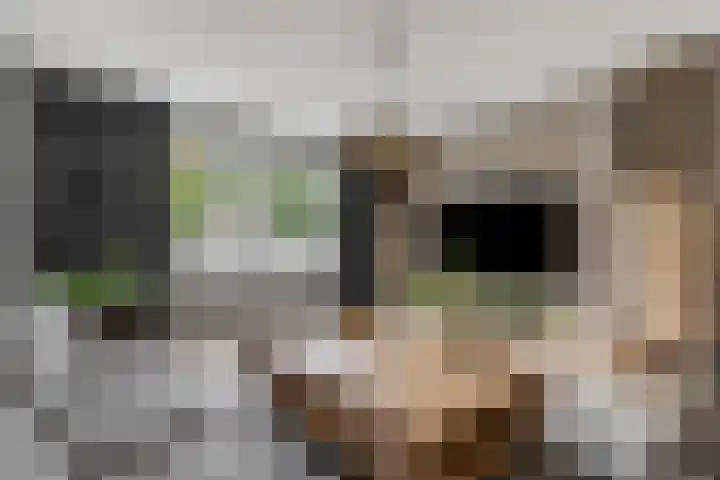 Nettelhorst 5 Ede thumbnail 10