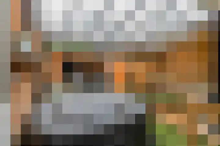 Nettelhorst 5 Ede thumbnail 28