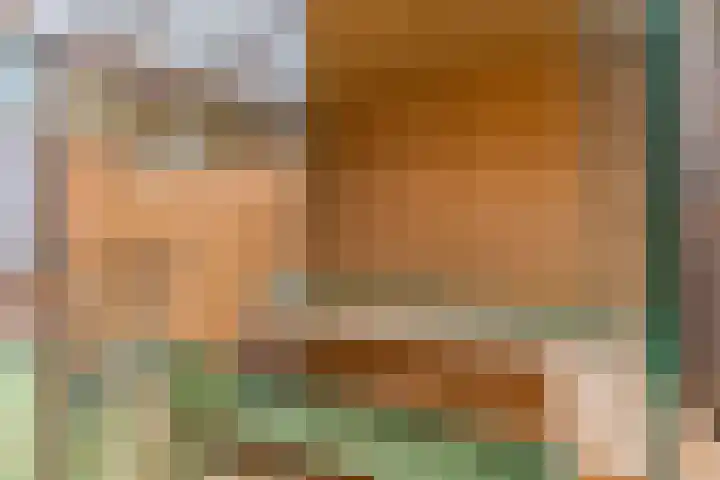Nettelhorst 5 Ede thumbnail 29