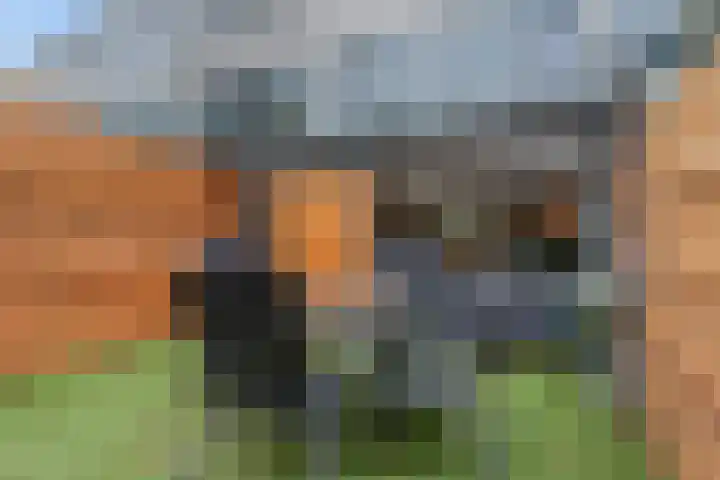 Nettelhorst 5 Ede thumbnail 30