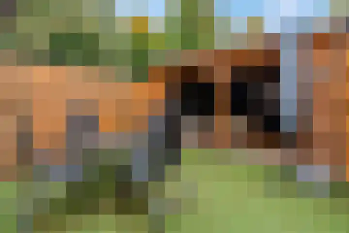 Nettelhorst 5 Ede thumbnail 31