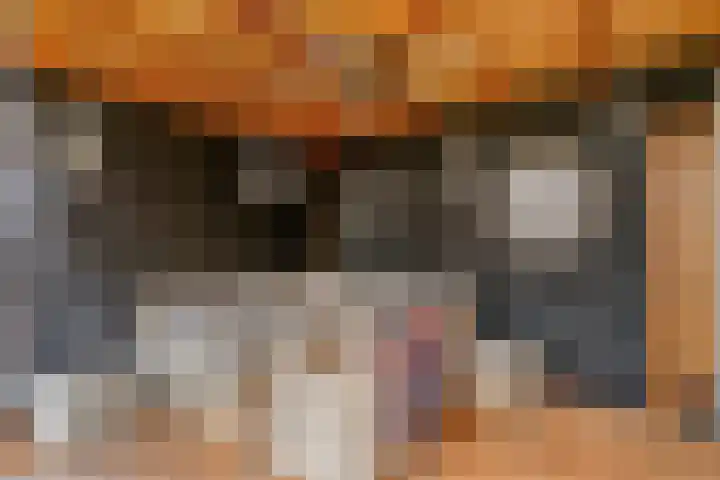 Nettelhorst 5 Ede thumbnail 33