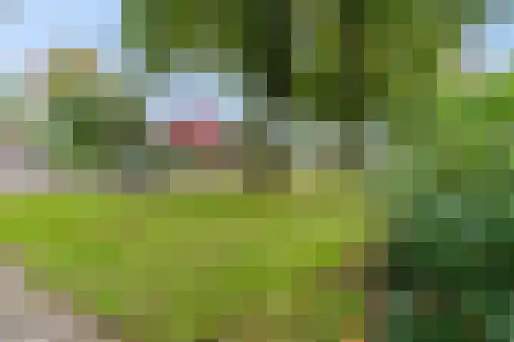 Nettelhorst 5 Ede thumbnail 40