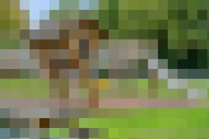 Nettelhorst 5 Ede thumbnail 41