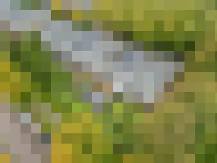 Nettelhorst 5 Ede thumbnail 42