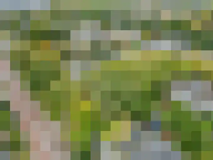Nettelhorst 5 Ede thumbnail 43