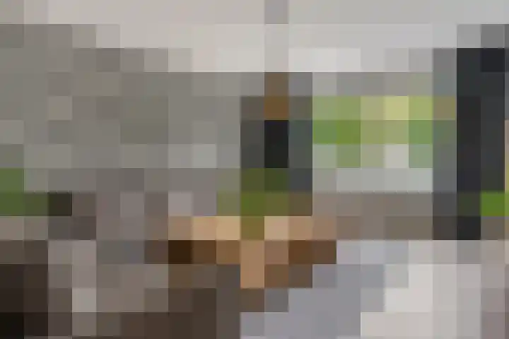 Nettelhorst 5 Ede thumbnail 7