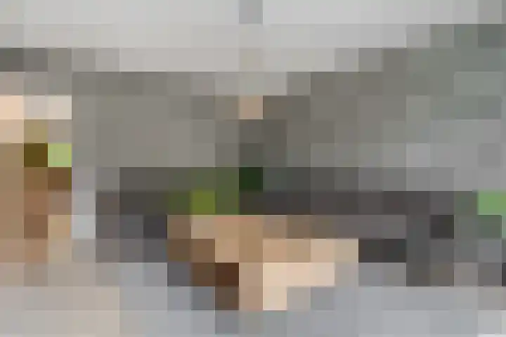 Nettelhorst 5 Ede thumbnail 9