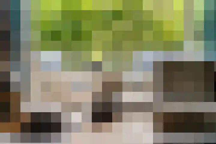 Nettelhorst 79 Ede thumbnail 10
