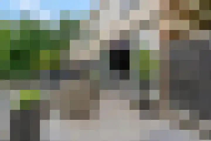 Nettelhorst 79 Ede thumbnail 12