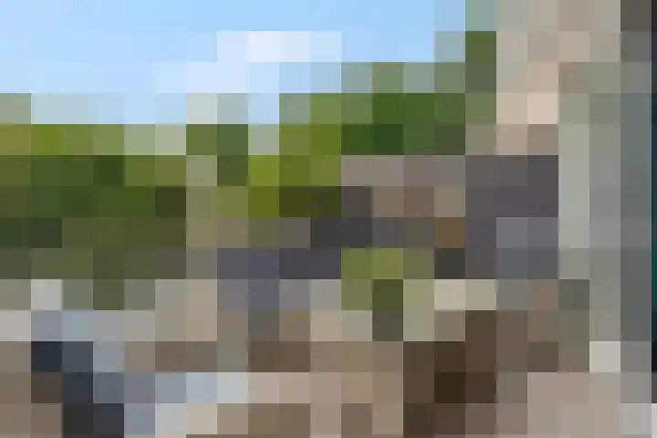 Nettelhorst 79 Ede thumbnail 14