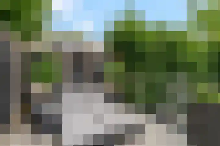 Nettelhorst 79 Ede thumbnail 15