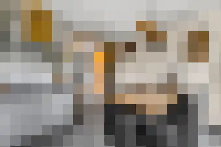Nettelhorst 79 Ede thumbnail 17