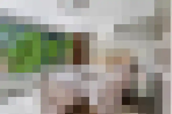 Nettelhorst 79 Ede thumbnail 24