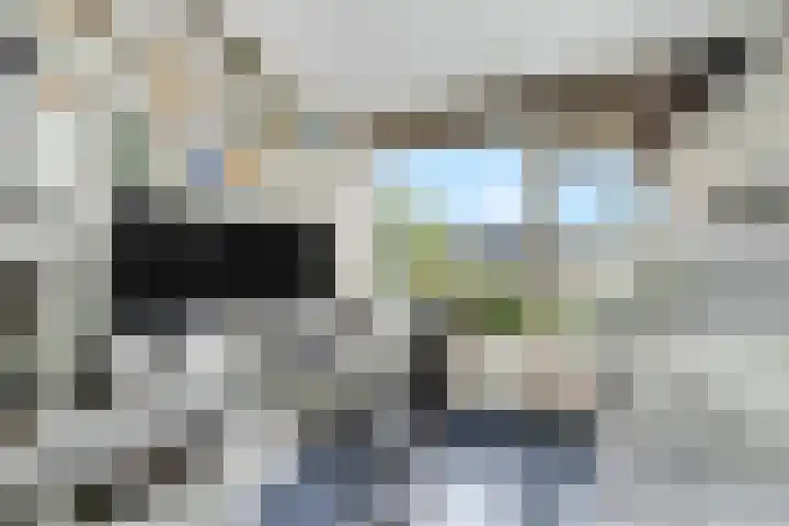 Nettelhorst 79 Ede thumbnail 27
