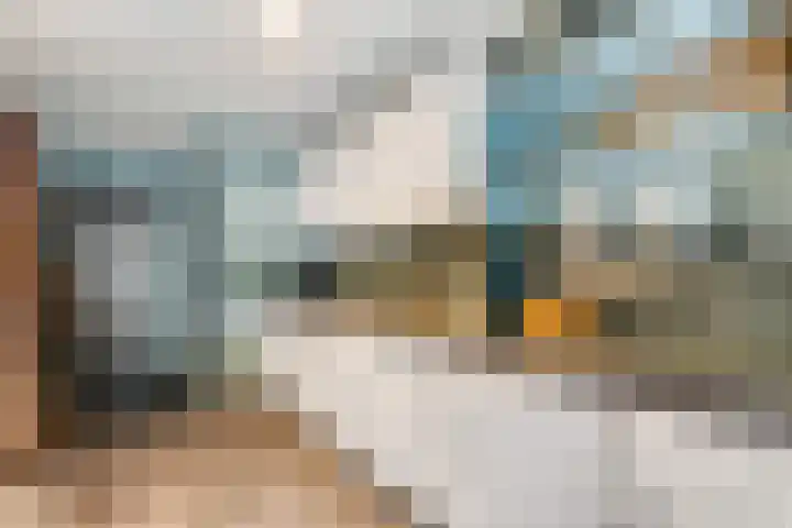 Nettelhorst 79 Ede thumbnail 44