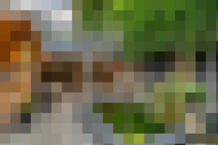Nettelhorst 79 Ede thumbnail 47