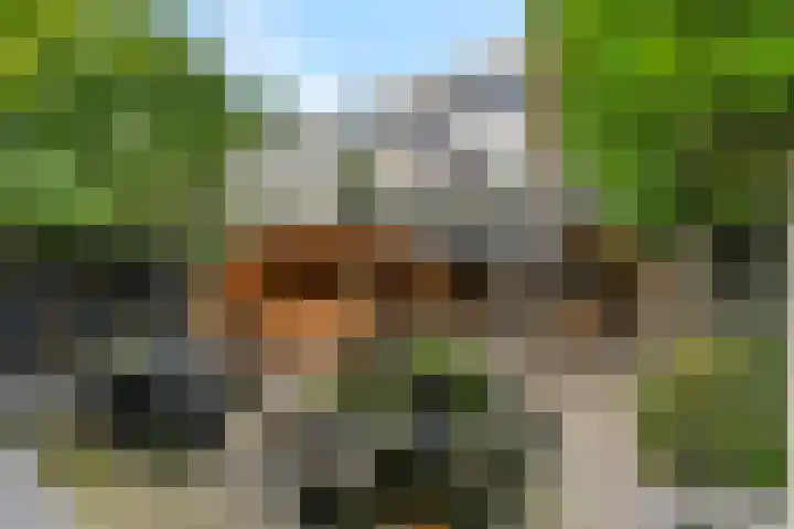 Nettelhorst 79 Ede thumbnail 52