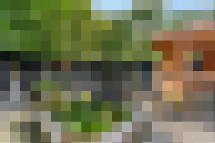 Nettelhorst 79 Ede thumbnail 55