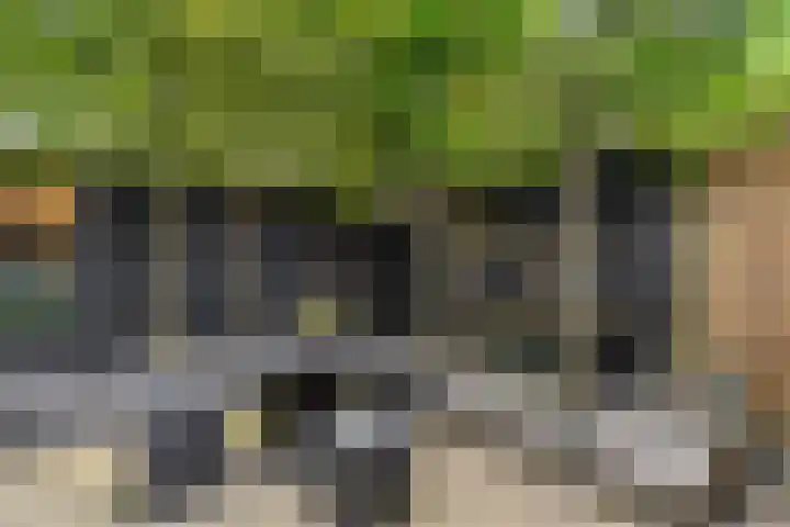 Nettelhorst 79 Ede thumbnail 58