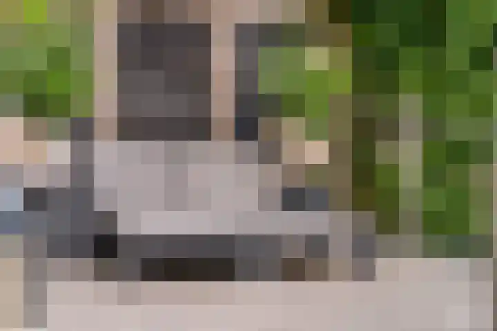 Nettelhorst 79 Ede thumbnail 59