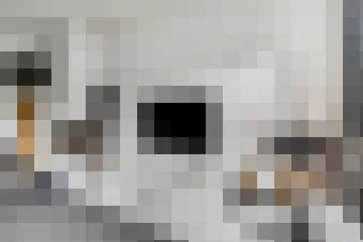 Nettelhorst 79 Ede thumbnail 6