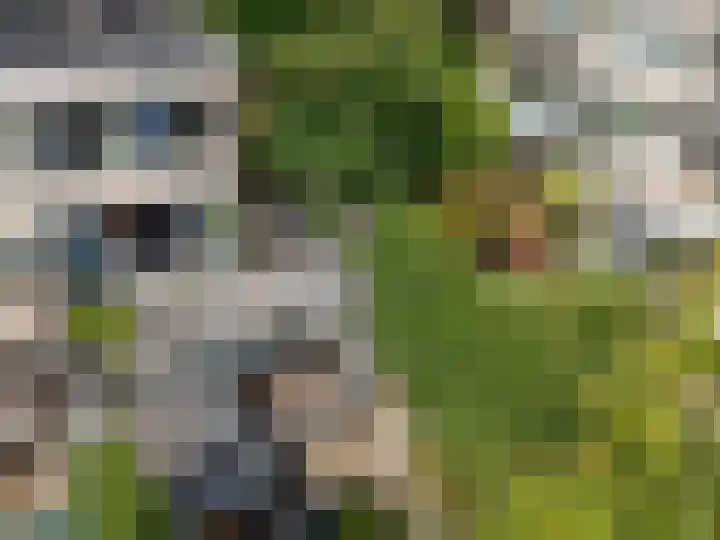 Nettelhorst 79 Ede thumbnail 75