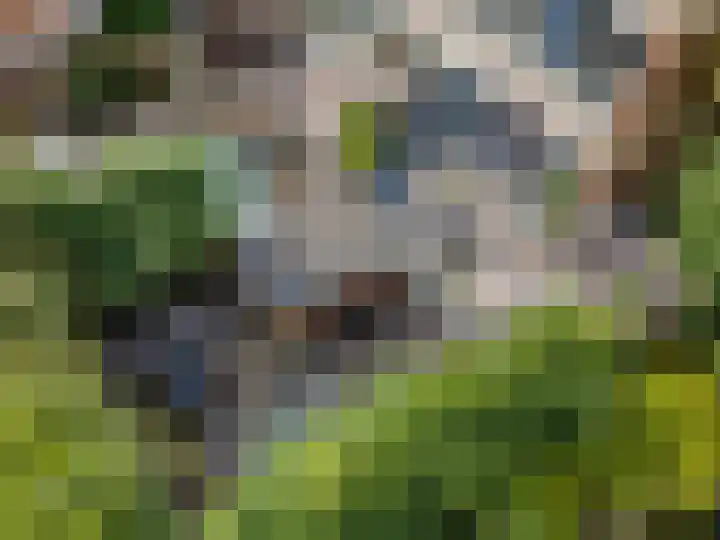 Nettelhorst 79 Ede thumbnail 77