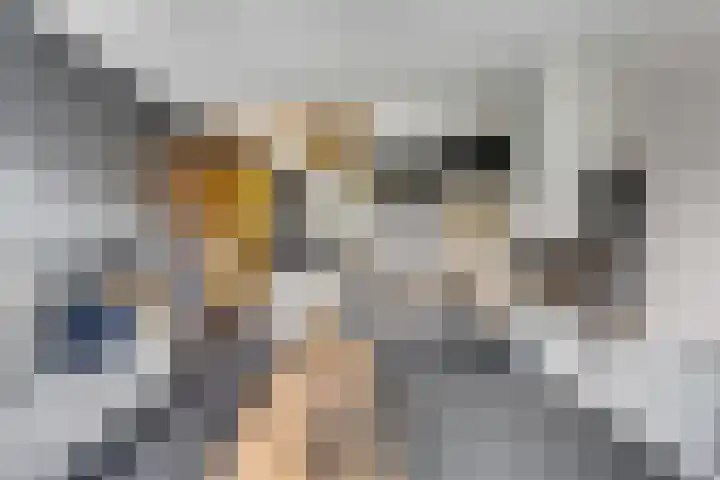 Nettelhorst 79 Ede thumbnail 8