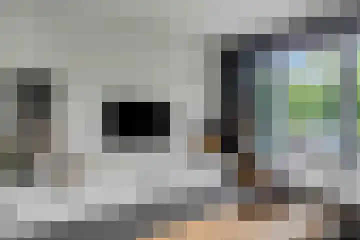 Nettelhorst 79 Ede thumbnail 9