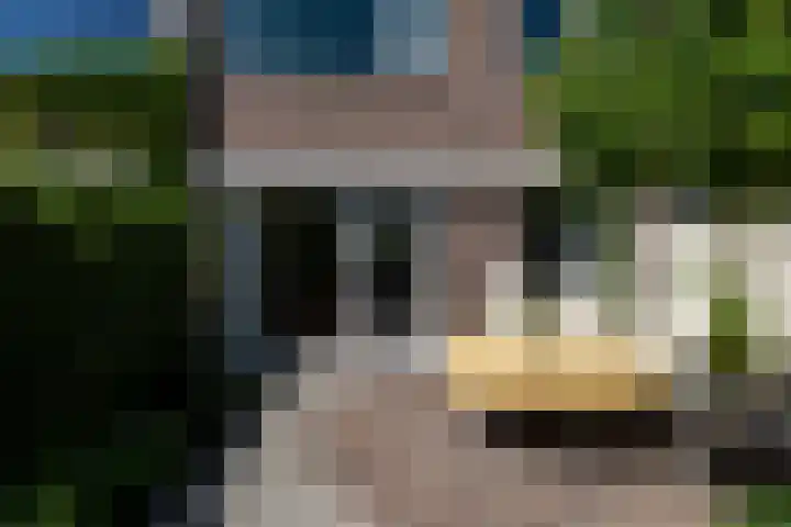 Neubourgstraat 30 Breda thumbnail 35