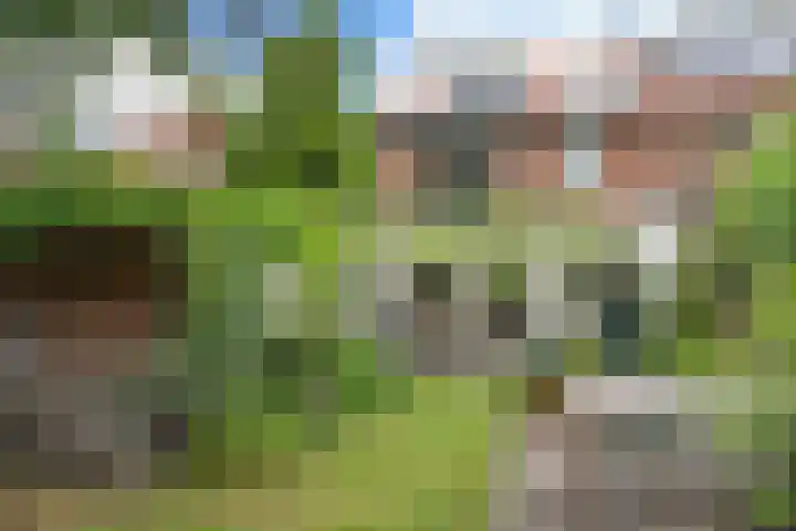 Neuweg 451 Hilversum thumbnail 21