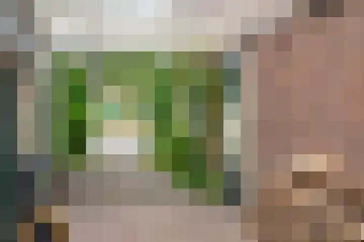 Neuweg 451 Hilversum thumbnail 26