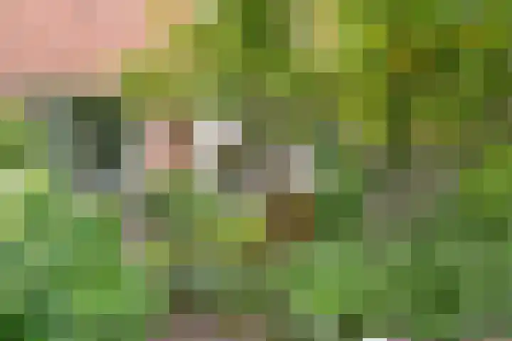 Neuweg 451 Hilversum thumbnail 27