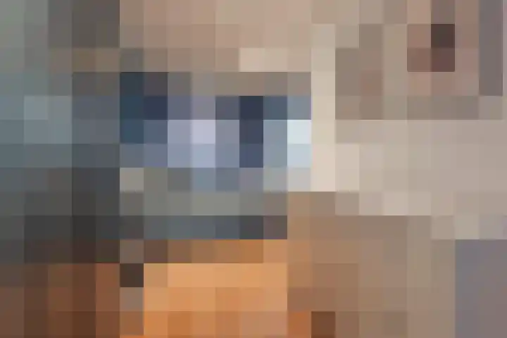 Neuweg 8 Hilversum thumbnail 20