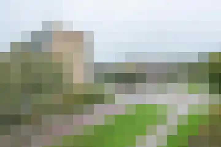 Newa 53 Amstelveen thumbnail 11