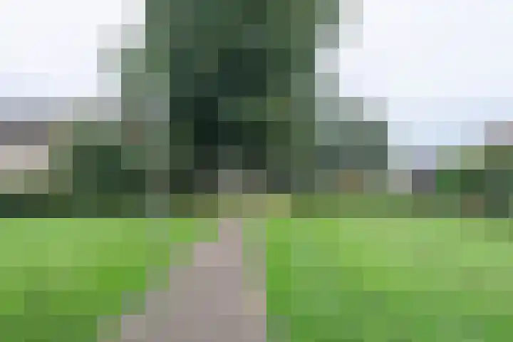 Newa 53 Amstelveen thumbnail 21