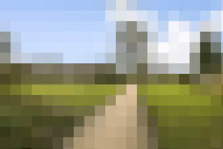 Newa 69 Amstelveen thumbnail 13