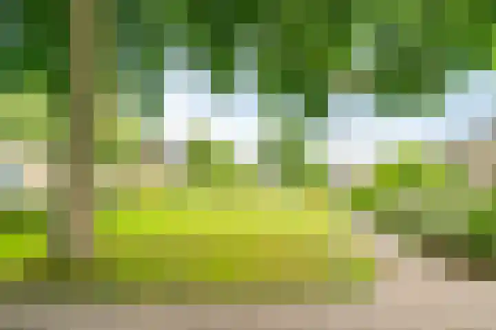 Newa 9 Amstelveen thumbnail 26