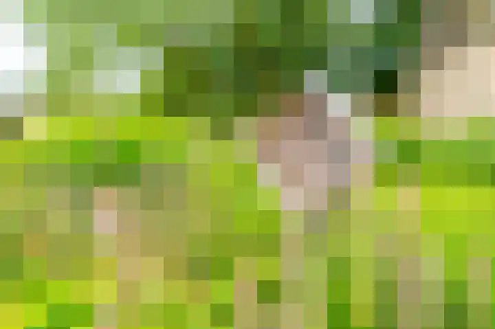 Newa 9 Amstelveen thumbnail 27