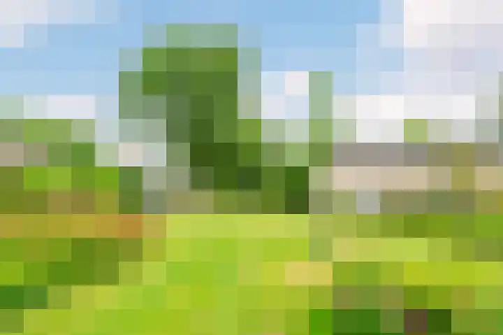 Newa 9 Amstelveen thumbnail 28