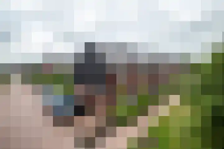 Photo de Nica Lokken